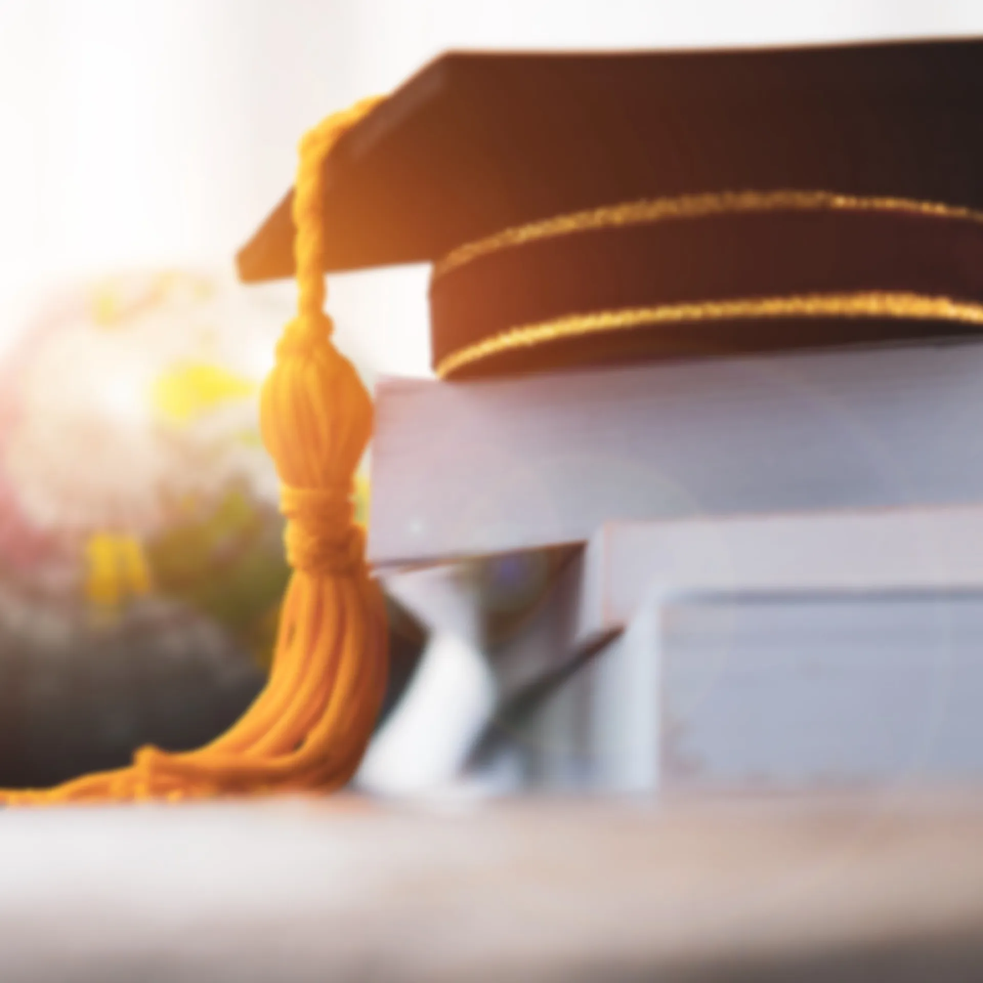 study graduation hat